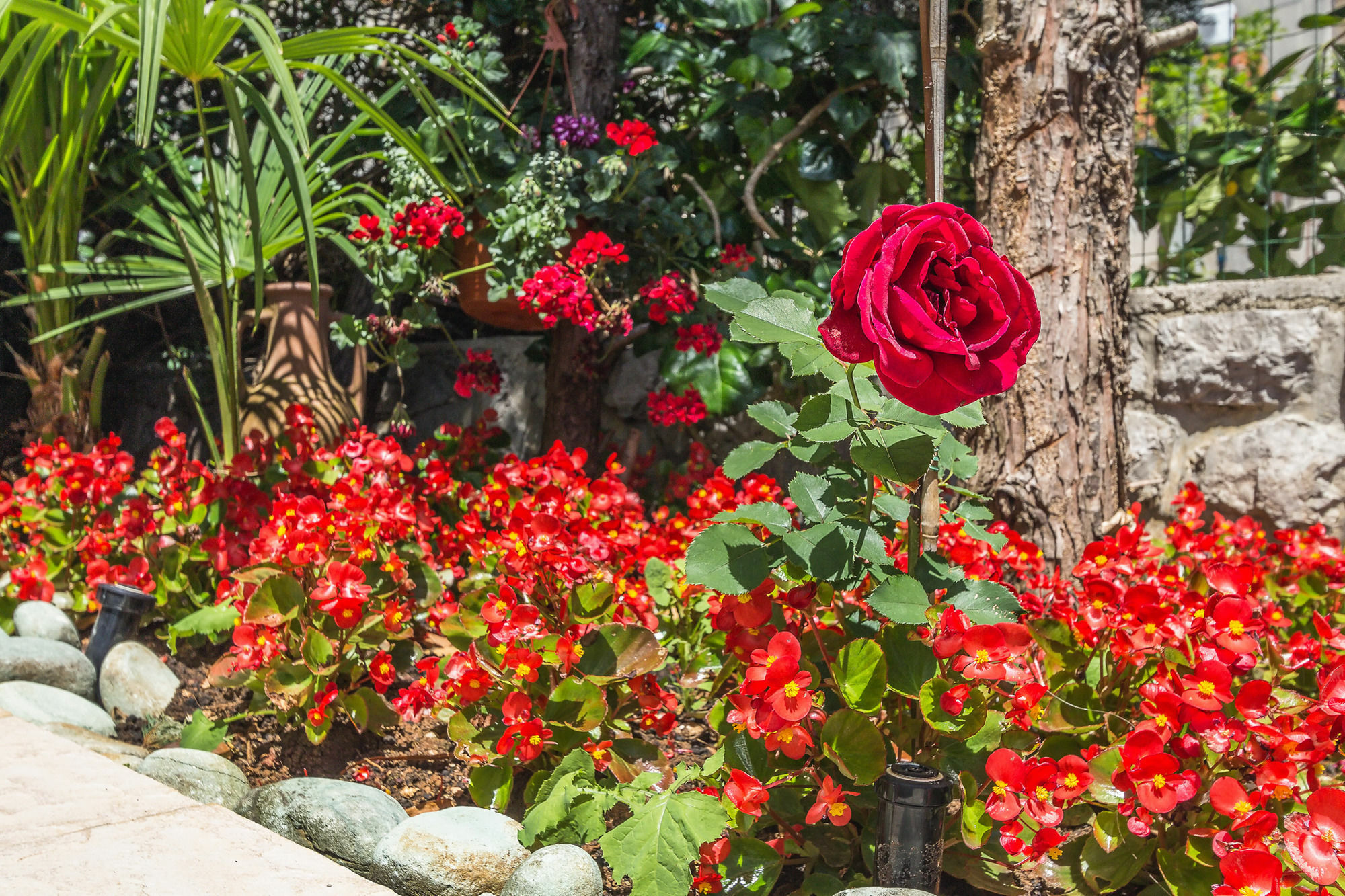 Villa Roses Apartments & Wellness Ičići Exteriér fotografie
